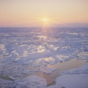 Таяние льдов Арктики